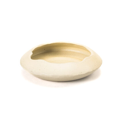 Plato con Borde Angular Irregular